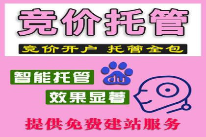 百度竞价托管策略调整，应对市场变化的利器